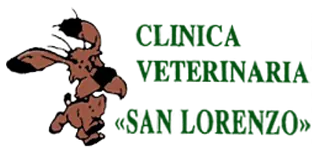 Clínica Veterinaria San Lorenzo