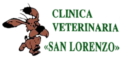 Clínica Veterinaria San Lorenzo